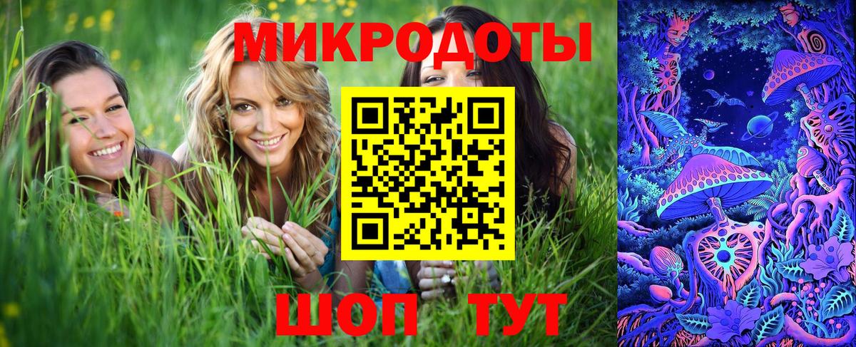 Галлюциногенные грибы Cubensis Махачкала