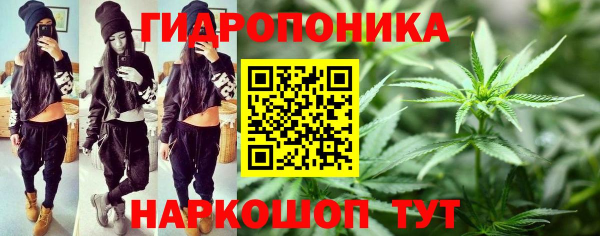 МАРИХУАНА планчик  Шишки марихуана планчик  Марихуана конопля  Махачкала  Вход с VPN 